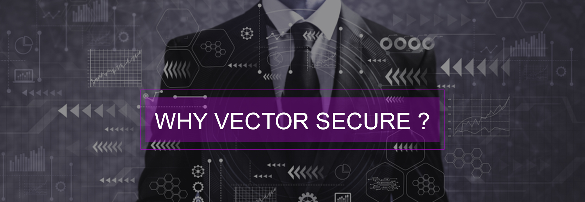 Why Vector Banner